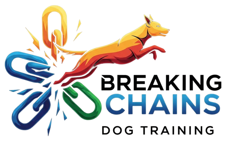 Breaking Chains Dog Training